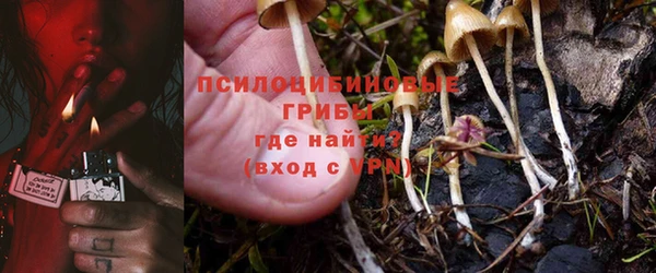 тгк Балабаново