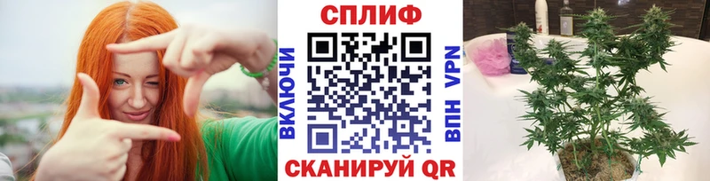hydra как зайти  Кяхта  Бошки марихуана план  купить наркотики сайты 